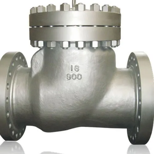 Duplex Steel check valve
