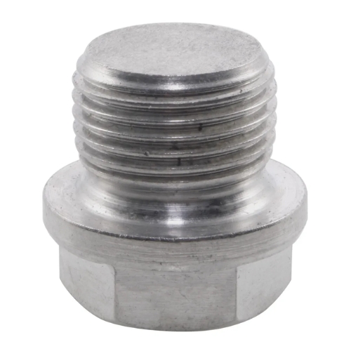 Tapón con brida hexagonal Bspp