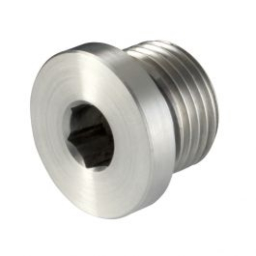 Tapón ciego SS roscado