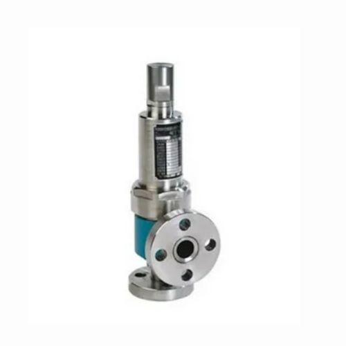 Duplex Steel Spring Loaded Safety Valve